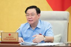 Cơ chế, chính sách đặc thù cho TP Hồ Chí Minh phải đủ mạnh, vượt trội để tạo đột phá