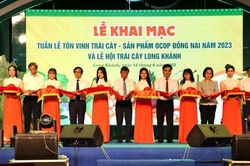 Khai mạc Lễ hội trái cây Long Khánh
