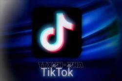 Giới trẻ tìm kiếm tin tức từ người nổi tiếng trên MXH thay vì báo chí truyền thống