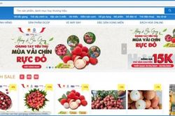 Bắc Giang: Đẩy mạnh chuyển đổi số trong xây dựng nông thôn mới