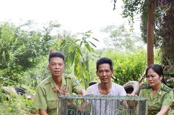 Tiếp nhận cá thể khỉ đuôi lợn do người dân tự nguyện bàn giao