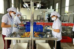 Hải Dương: Tiếp tục cải cách thủ tục hành chính, cải thiện môi trường đầu tư kinh doanh
