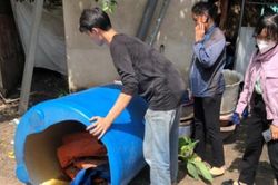 TPHCM: Đẩy mạnh loại bỏ những nơi sinh sản của muỗi truyền bệnh sốt xuất huyết