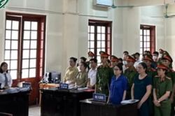 TAND Nghệ An khẳng định cô Lê Thị Dung không oan, dù thừa nhận cấp sơ thẩm có vi phạm