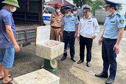 Bắt giữ hơn 1 tạ nội tạng đang rỉ nước, bốc mùi hôi thối đang được vận chuyển đi tiêu thụ