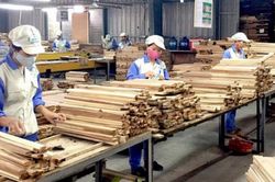 Vướng mắc hoàn thuế giá trị gia tăng: Tổng cục Thuế yêu cầu báo cáo kết quả đối thoại với doanh nghiệp