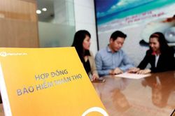 Công bố kết luận thanh tra 4 doanh nghiệp bảo hiểm nhân thọ trong tháng 6