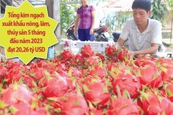Nông sản phá kỷ lục