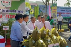 Đồng Nai: Xuất khẩu 360 tấn sầu riêng chính ngạch đầu tiên sang thị trường Trung Quốc