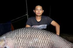 Cần thủ ở Nghệ An câu được trắm đen 'khủng' hơn 40kg