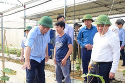 Ban Tuyên giáo Trung ương tổ chức Hội nghị Báo cáo viên về xây dựng nông thôn mới