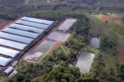 Vi phạm quy định vê môi trường, doanh nghiệp chăn nuôi quy mô lớn bị xử phạt hơn 1,4 tỷ đồng