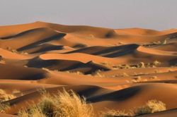 Dùng radar đo độ sâu sa mạc Sahara, các nhà khoa học phát hiện ra 'thứ' khổng lồ bên dưới
