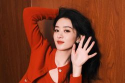 Triệu Lệ Dĩnh không thể yêu Lâm Canh Tân vì bị phản đối nên quyết định 'kiếm mối' khác?