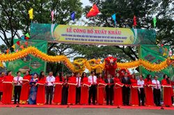 Đồng Nai: Xuất khẩu 360 tấn sầu riêng sang Trung Quốc