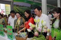 Hà Nội trưng bày, quảng bá, kết nối giao thương các sản phẩm OCOP