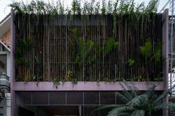 Nhà bằng thép tái chế dùng cây làm mặt tiền cản nắng nóng gây thương nhớ