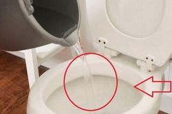 Đổ thứ này vào bồn cầu sau 30 phút bạn sẽ thấy điều bất ngờ xảy ra