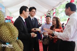 Xây dựng thương hiệu sầu riêng Đồng Nai trên thị trường xuất khẩu