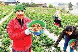Thúc đẩy kinh tế tuần hoàn