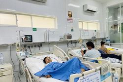 Đề phòng ngộ độc nấm