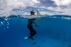 Bảo tồn rùa biển ở quốc đảo Fiji