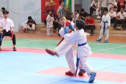 450 vận động viên tranh tài Giải karate huyện Ba Vì mở rộng năm 2023