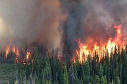 Mỹ chia sẻ dữ liệu vệ tinh hỗ trợ Canada