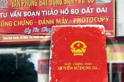 Thủ tướng chỉ đạo xác minh việc trục lợi trong giải quyết thủ tục đất đai