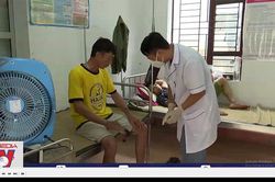 Lai Châu quyết liệt ngăn chặn bùng phát bệnh than
