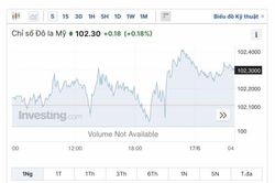 Tỷ giá USD hôm nay 18/6: Đồng USD 'hồi' lại sắc xanh