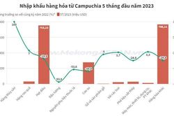 Campuchia giữ 'ngôi vương' cung cấp hạt điều cho Việt Nam