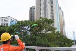 Công suất đỉnh hệ thống điện giảm
