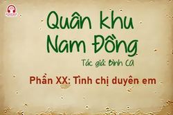 Đọc truyện đêm khuya: Quân khu Nam Đồng - Phần XX: Tình chị duyên em