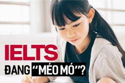 Quan điểm 'gây bão' mạng: Ở Việt Nam, chứng chỉ IELTS đang ngày càng 'méo mó'