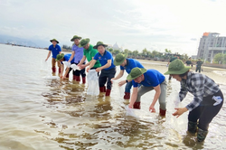 Quảng Ninh: Ứng phó với biến đổi khí hậu, đảm bảo phát triển kinh tế bền vững