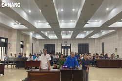 Lãnh án vì thuê đất Nhà nước rồi phân lô bán nền