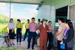 Trưởng ban Dân vận Tỉnh ủy Phạm Thị Tố Hải thăm mô hình nông hội tại huyện Phú Thiện