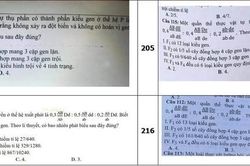 Hai nguyên giảng viên ĐH trong vụ lộ đề thi tốt nghiệp THPT quốc gia sắp hầu tòa