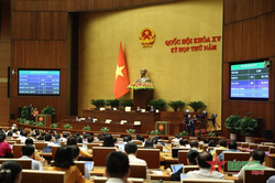 Quốc hội thông qua Luật Phòng thủ dân sự với tỷ lệ tán thành cao