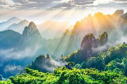 Lối rẽ