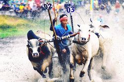 Giải ảnh 'Khoảnh khắc vàng' trở lại sau 5 năm gián đoạn