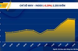 Giá kim loại, năng lượng xu hướng giảm nhẹ trong ngày thị trường Mỹ nghỉ Lễ