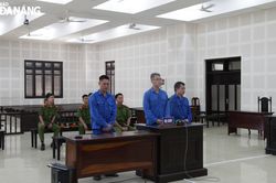 Lãnh án vì thả chó Pitpull cắn hàng xóm