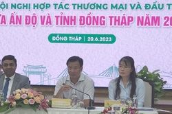 Kỳ vọng hợp tác thương mại và đầu tư giữa Ấn Độ và tỉnh Đồng Tháp