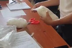 Gần 1.800 gam ma túy đá chuyển phát nhanh từ Mỹ về Việt Nam