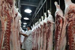 Giá lợn hơi tăng mạnh; Giá gạo xuất khẩu tăng 5 USD/tấn