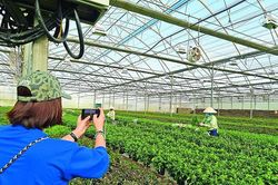 Tác nghiệp trong thời đại số