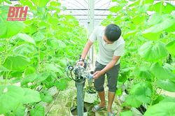 Ứng dụng công nghệ vào sản xuất nông nghiệp