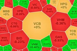 Dòng tiền 'cố thủ', blue-chips tụt giá, VN-Index đỏ